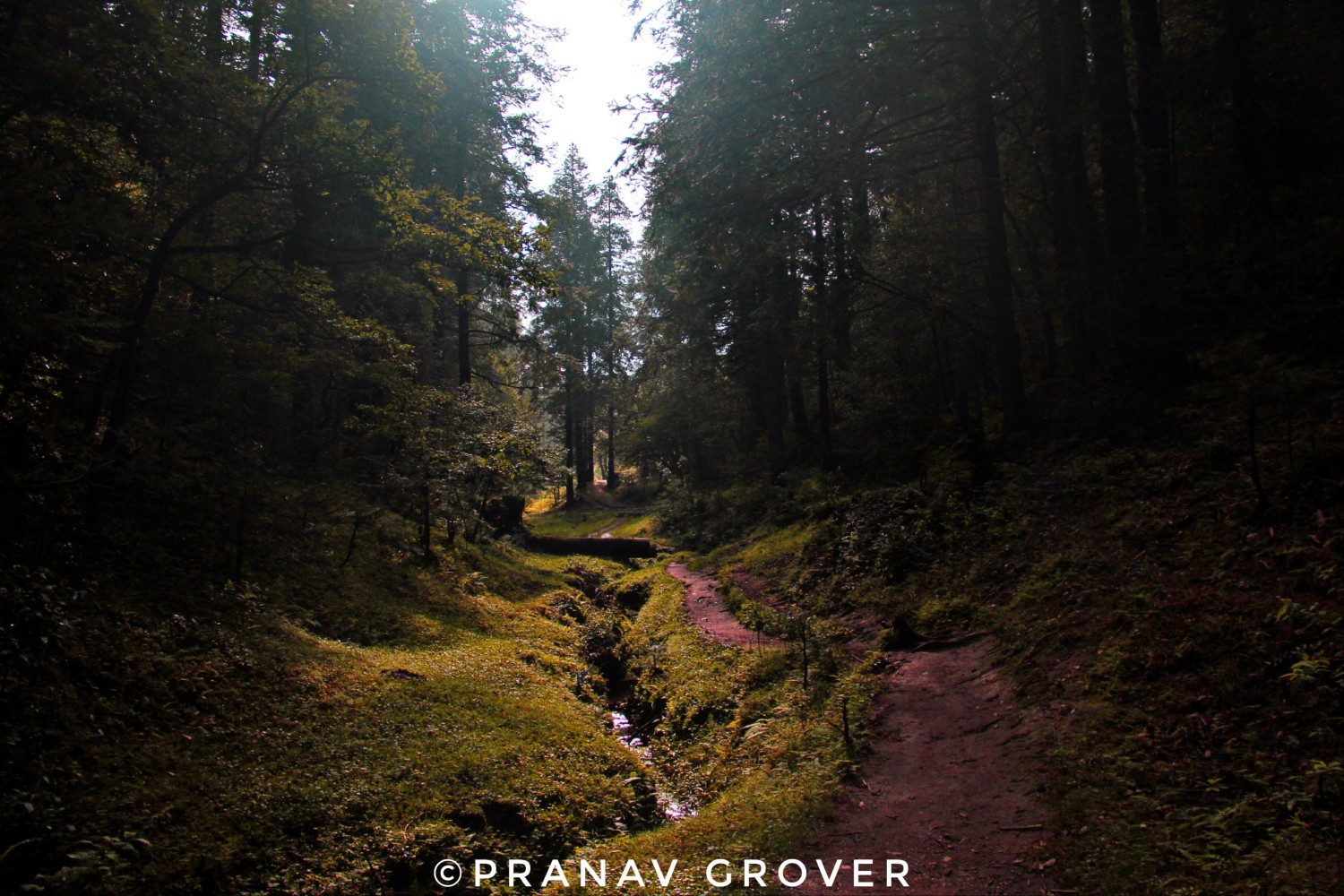 Pranav Grover