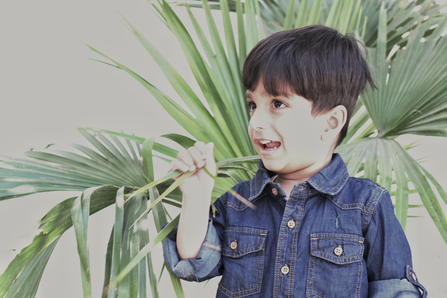 Raghav Khurana