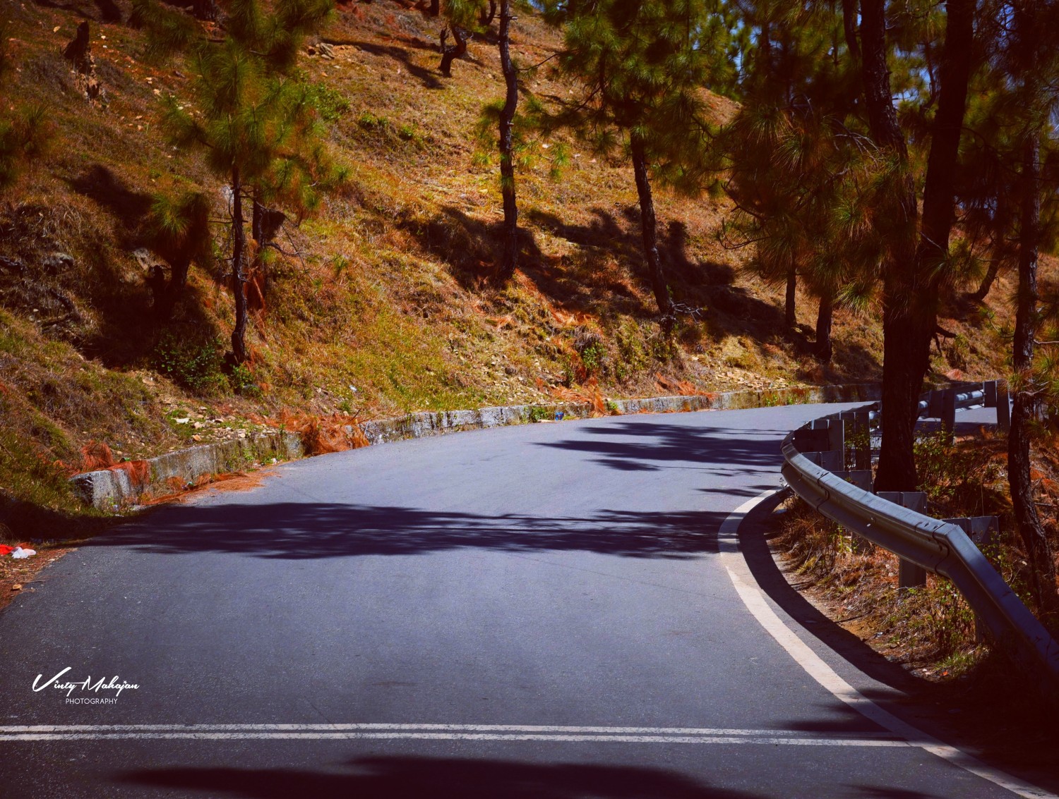 Vinty Mahajan Photography