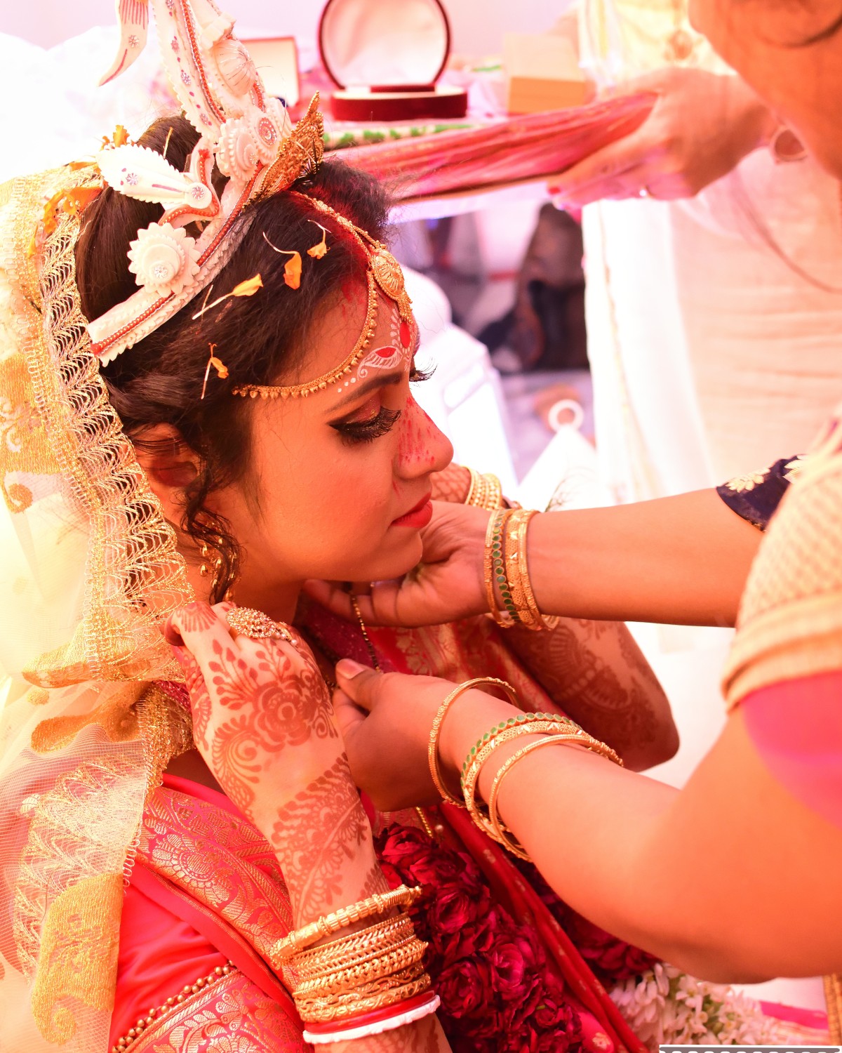 Minakshi Sur