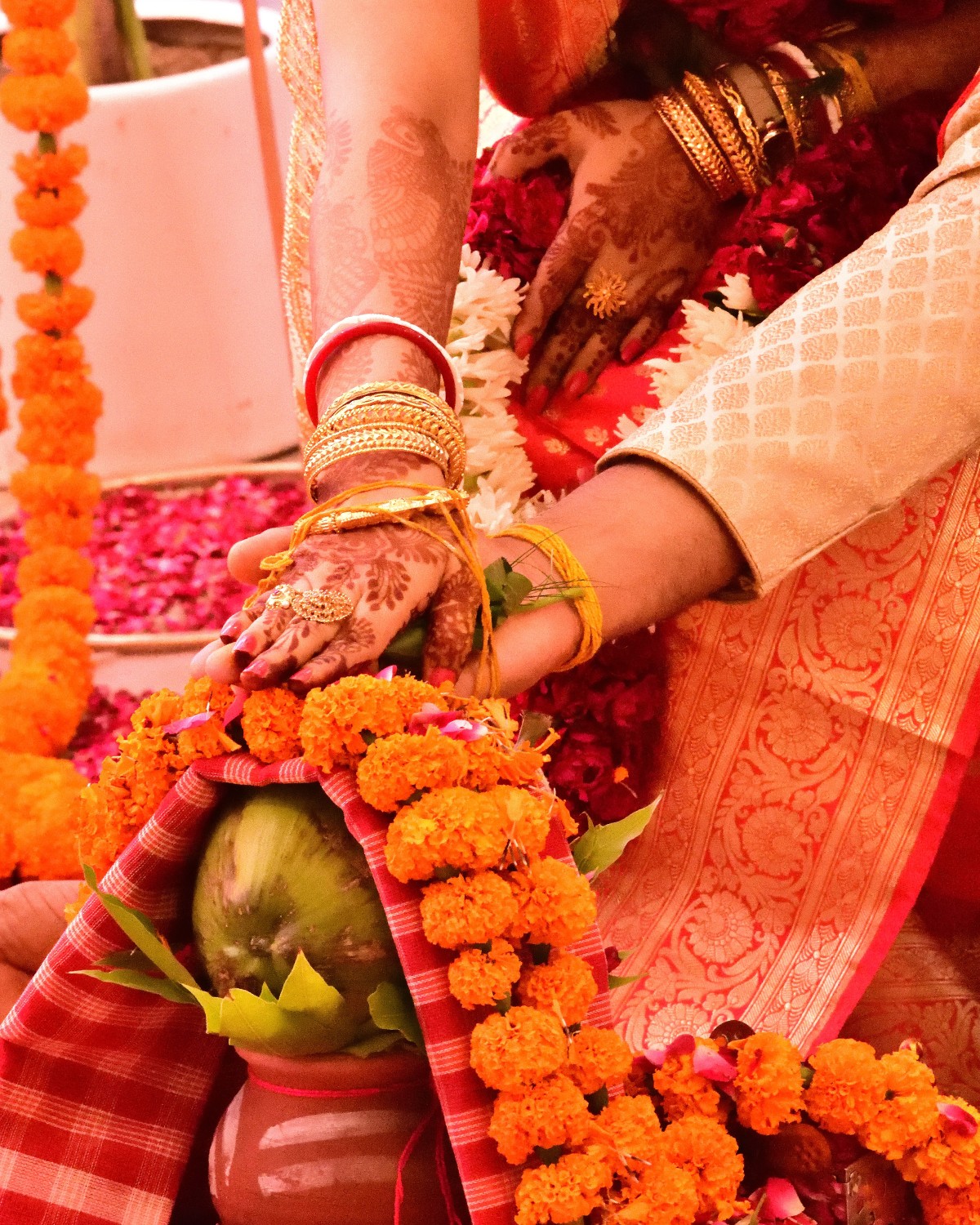 Minakshi Sur