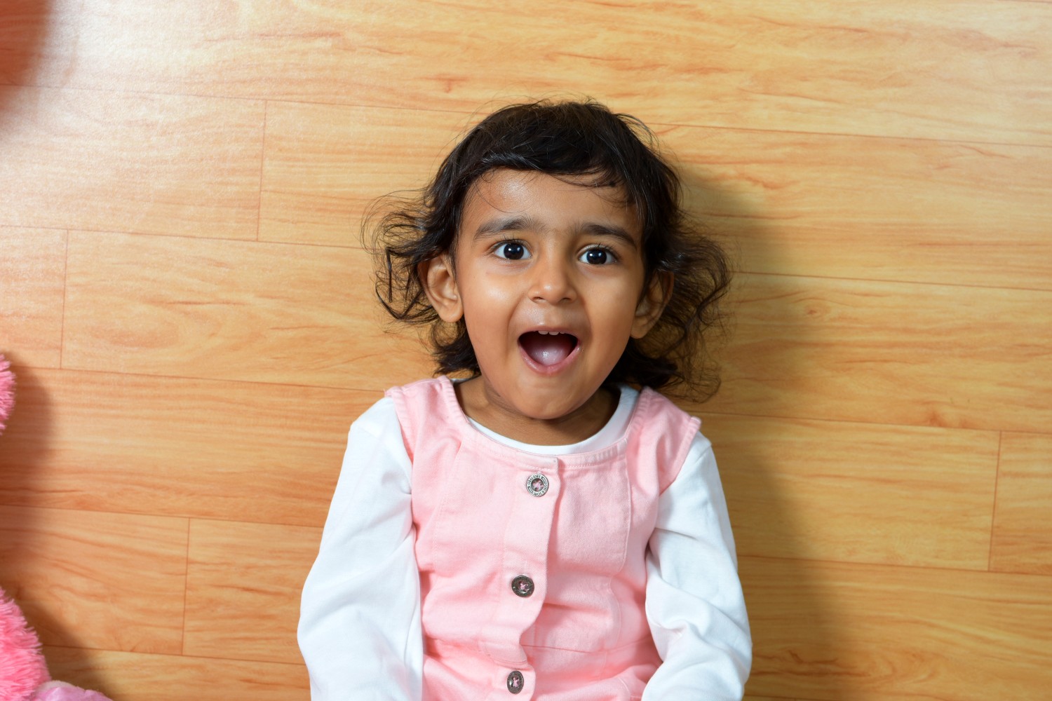 Minakshi Sur