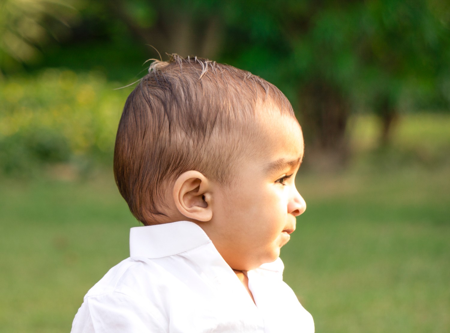 The Raw Clicks