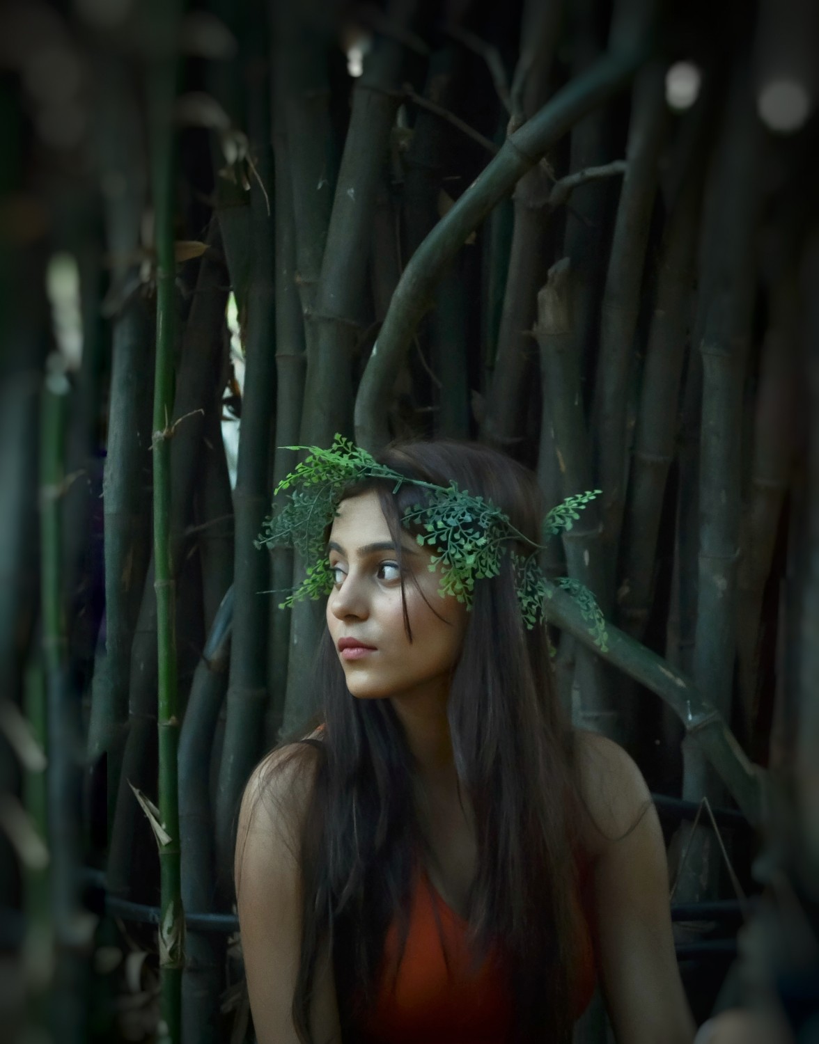 Shaktik Banerjee