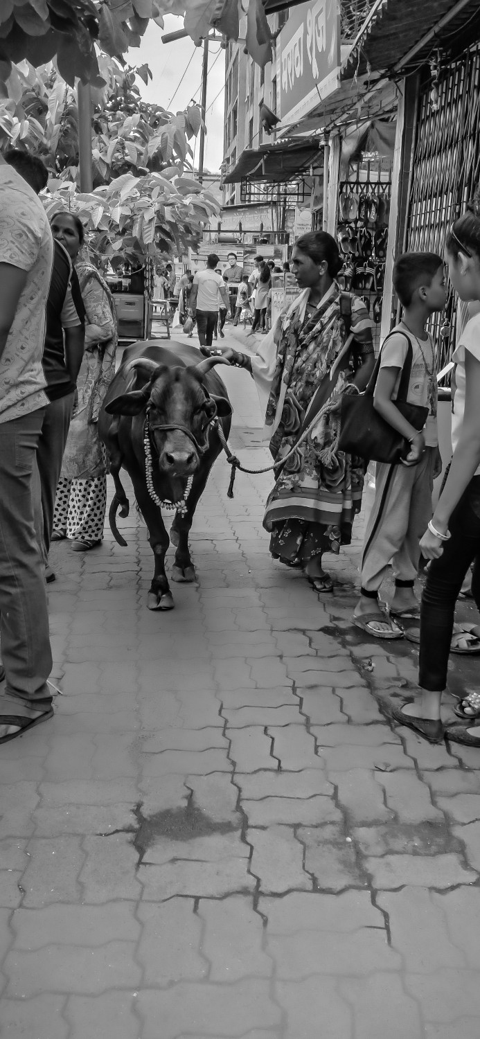 Hitesh Salaskar